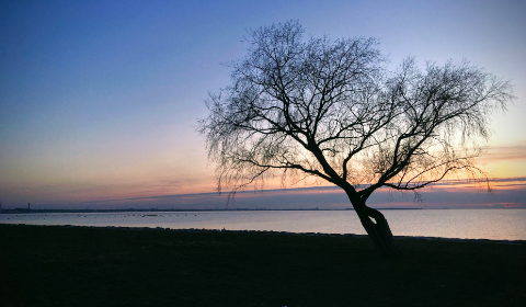 JAPANESE50日本熟妇