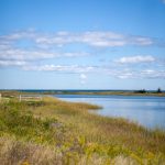 无敌在线视频免费观看 62eqebn4co