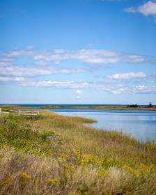 无敌在线视频免费观看