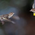 另类性爱视频小说 ddoo12