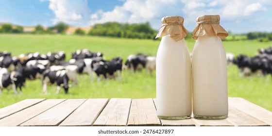 另类亚洲欧美精品久久 另类亚洲欧美精品久久