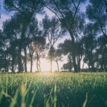 欧洲女同同性videos puhu30mekx