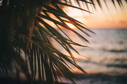 japanese中国国产在线观看