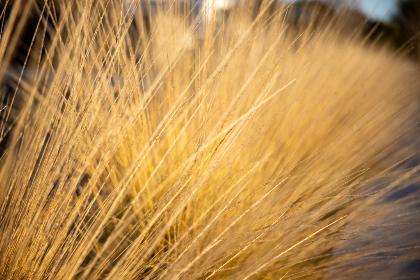 全面解析：2023年最受欢迎的黄金网站APP大全