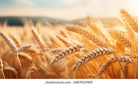 如何在奈飞中文电影站下载最新热门影片