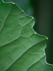 如何在YouTube上观看视频并提升观看体验