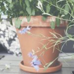 wegame单机游戏:畅享独立游戏的乐趣与精彩体验 elb6qm