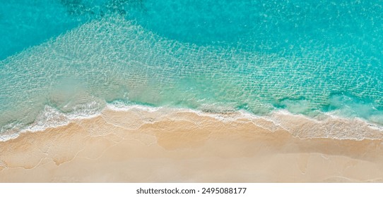 怪兽遗产在线观看：探索奇幻世界中的神秘生物与冒险故事