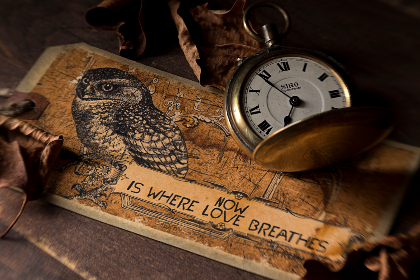 总推荐榜一小说排行榜：新御书屋热荐佳作一览