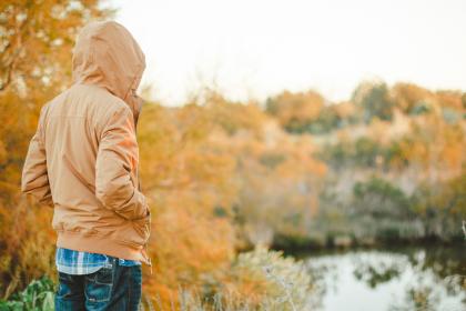 大家都在哪个网站：探索热门平台与用户聚集地的全景分析