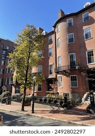 奈飞安卓版官网下载：畅享海量影视资源，轻松体验无广告观影乐趣