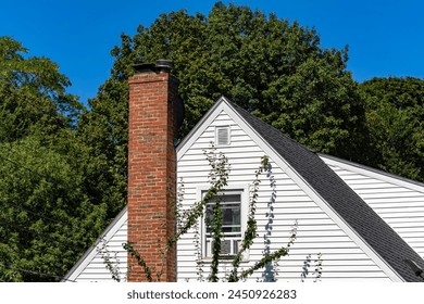 原神内鬼爆料吧：揭秘游戏背后的秘密与传闻