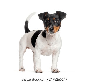 探索livbiohd:引领生物科技创新的新趋势 探索livbiohd:引领生物科技创新的新趋势