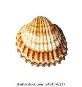 探索51fun吃瓜网入口，畅享最新娱乐资讯