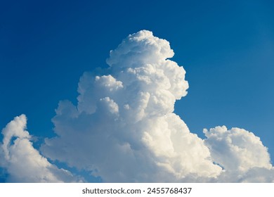 探索感官世界：在线观看K8经典网的无限魅力