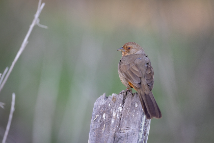探索HongKongdoll私密视频播放的魅力与精彩