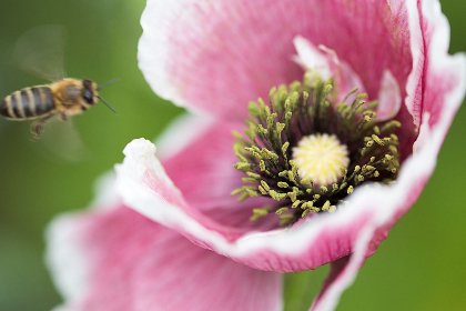 探索女性情感：十部必看的经典女同性恋电影