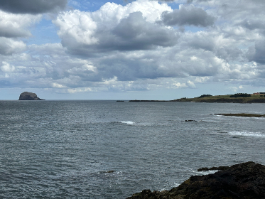 探索奈飞网站官网：畅享无限影视娱乐体验