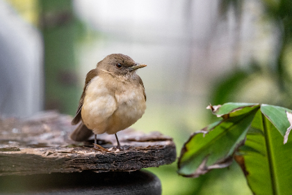 探索Dior官方旗舰店官网，尽享奢华时尚体验