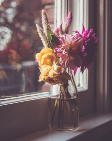 探索免费社工库入口：获取丰富资源与服务的最佳途径