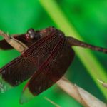 探索hsck.cc:一个值得关注的网络平台 pg81z