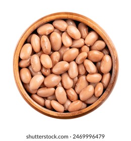 探索美姬社区：分享美丽与生活的乐园