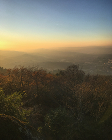 探索AI换脸软件的应用与潜在风险