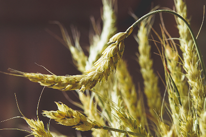 探索Airportal空投的潜力与未来发展趋势