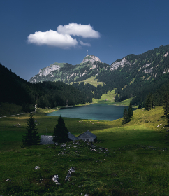 探索未知:揭开秘密研究所的神秘入口 探索未知:揭开秘密研究所的神秘入口