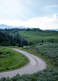 探索免费看88XX·info的无限精彩内容与资源 探索免费看88XX·info的无限精彩内容与资源